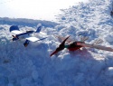 DSCN6209.JPG