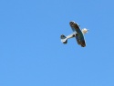 DSCN6355.JPG