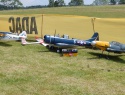 DSCN4071.JPG