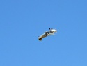 DSCN6351.JPG